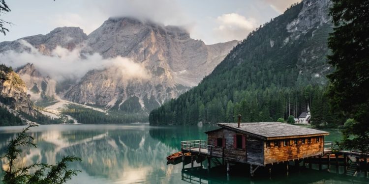 Biotechnology and architecture can turn your home into a living being to improve your life