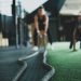 The keys to marking abs: how your training and your diet should be