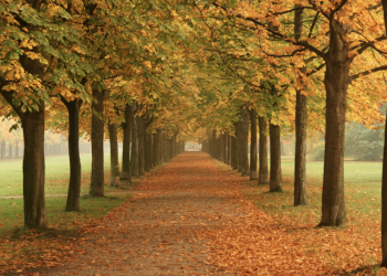 Three Reasons You Need A Fall Furnace Tune-up