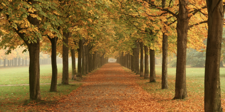 Three Reasons You Need A Fall Furnace Tune-up