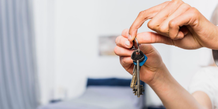 Luxury vs. Budget Comparing Room Rental Options in Dubai