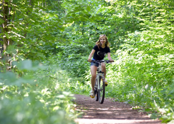 Singapore's Most Scenic Cycling Routes for a Peaceful Ride