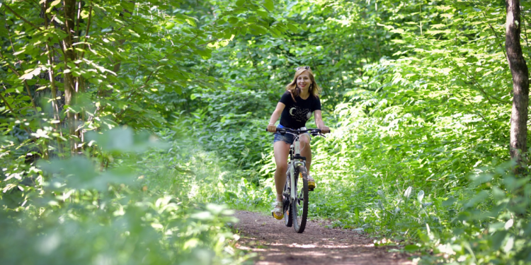 Singapore's Most Scenic Cycling Routes for a Peaceful Ride