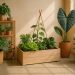 Vertical garden with recycled planters and lush greenery showcasing sustainable home decor